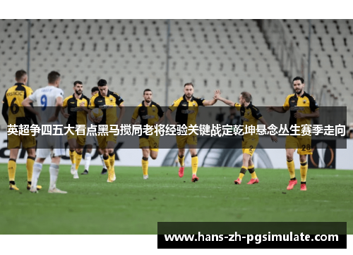 英超争四五大看点黑马搅局老将经验关键战定乾坤悬念丛生赛季走向